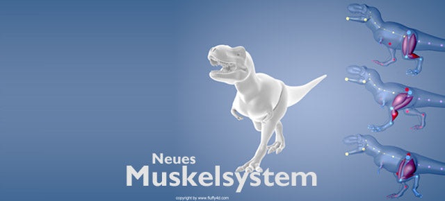 C4D R13 Neues Muskelsystem