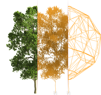 3D Assets: Bäume und Pflanzen