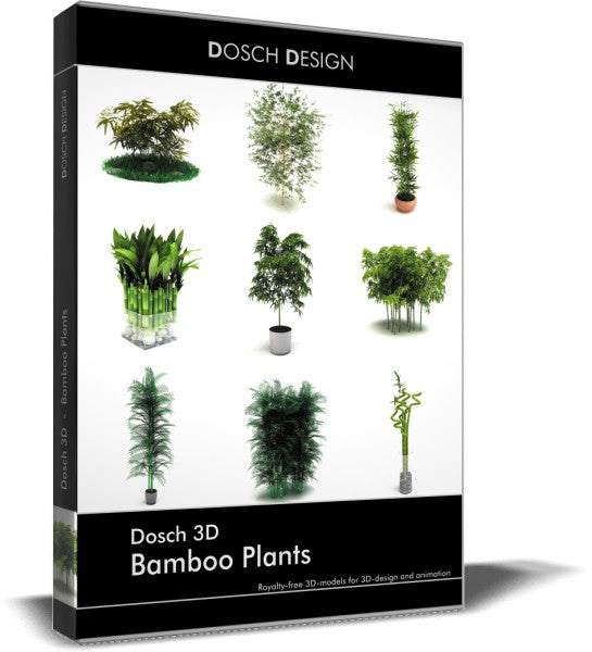 Bamboo Plants