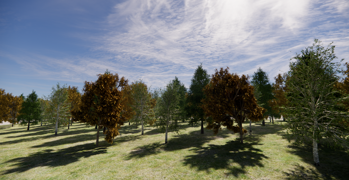 RhinoLands - EDUCATION