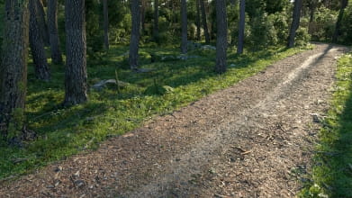 Archmaterials vol. 1