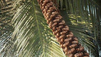 Archmaterials vol. 2