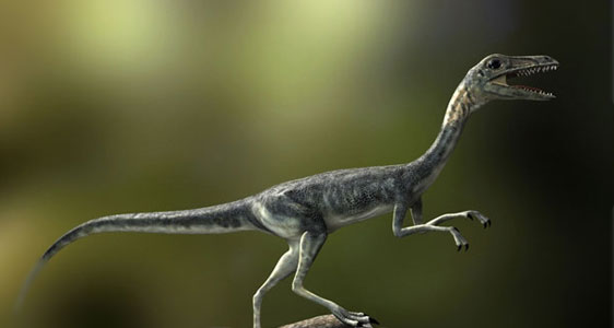 Jurassic Park Compsognathus Anleitung
