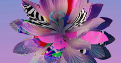 Maxon 3D-Software – JUNE Promotion