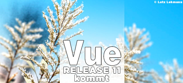 Vue 11 Release