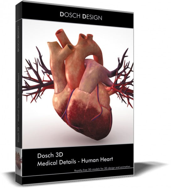 Medical Details - Human Heart