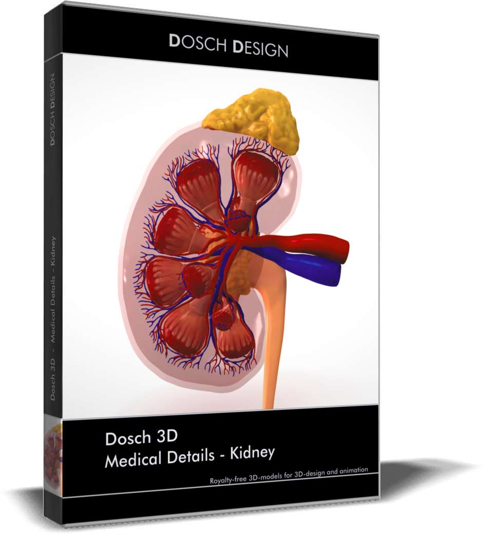 Medical Details - Kidney