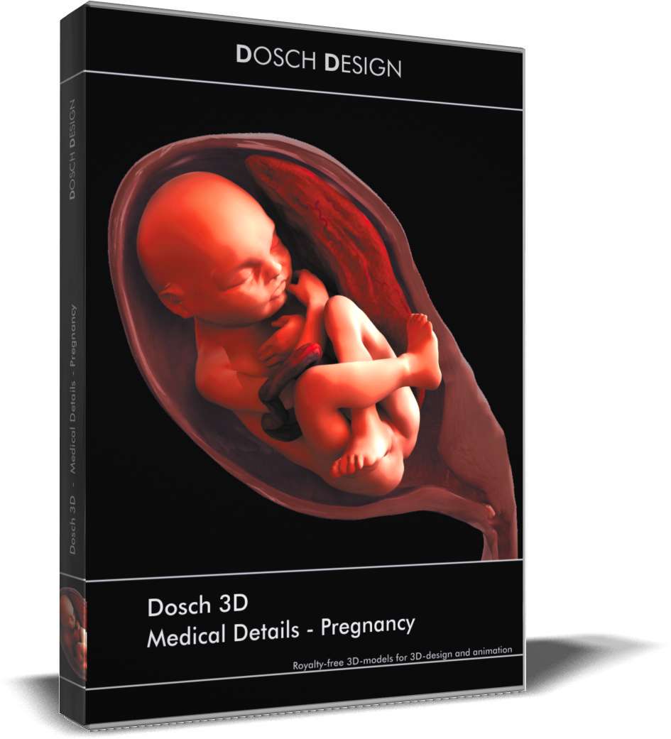 Medical Details - Pregnancy