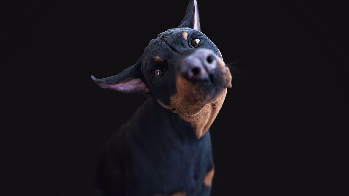 Autodesk – Mudbox