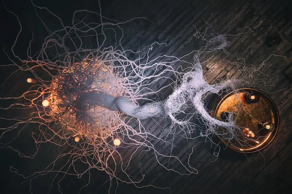 Corona Renderer