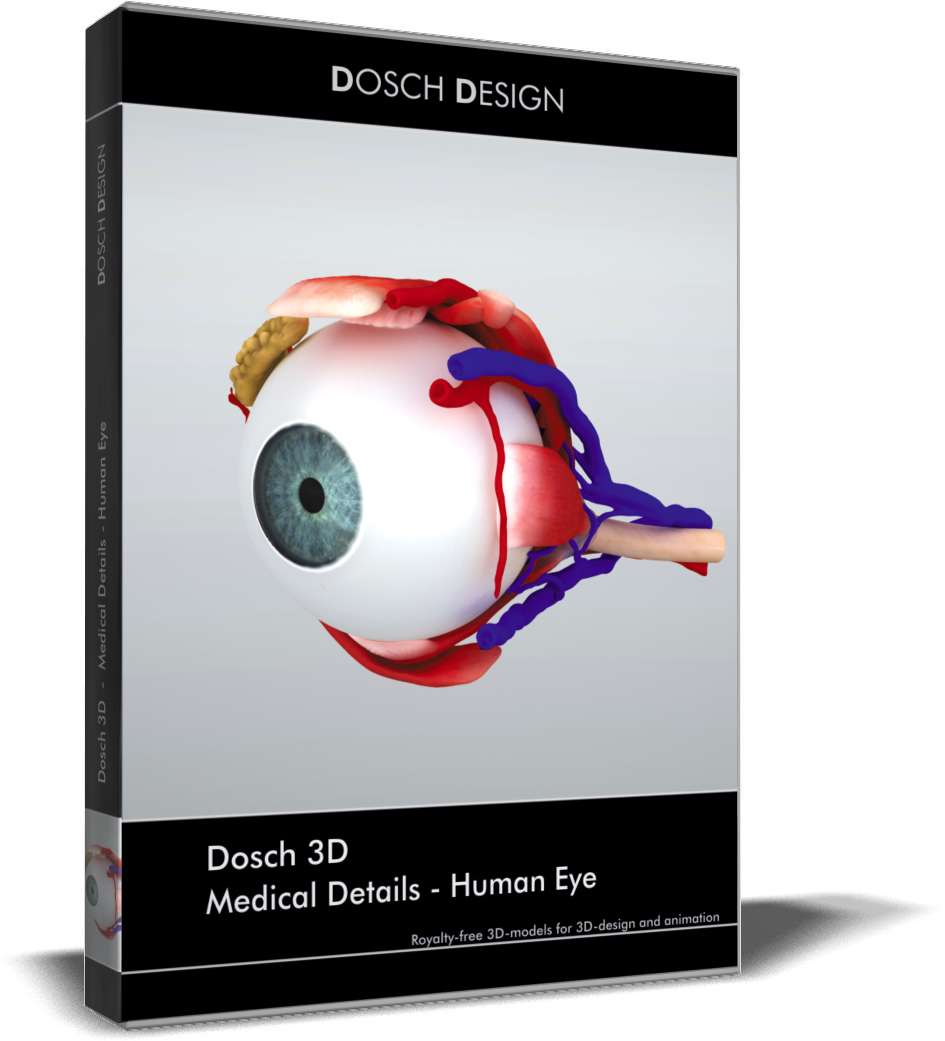 Medical Details - Human Eye