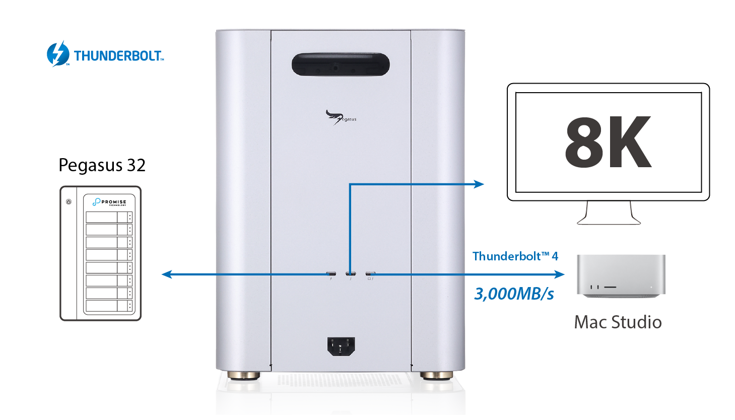 PROMISE Pegasus R12